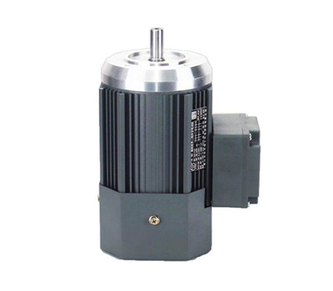 IM B14 H63-112<br>(YE4系列三相異步電機)
